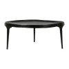 Côté Table Table Basse Irrégulière Noir - Aceri 2 Côté Table Table Basse Irrégulière Noir - Aceri -SEMA design Boutique 38449 DEB WEB