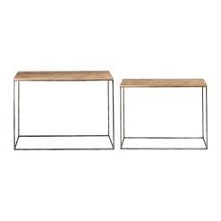 SEMA DESIGN Set De 2 Consoles Heribel Naturel , Gris En Manguier